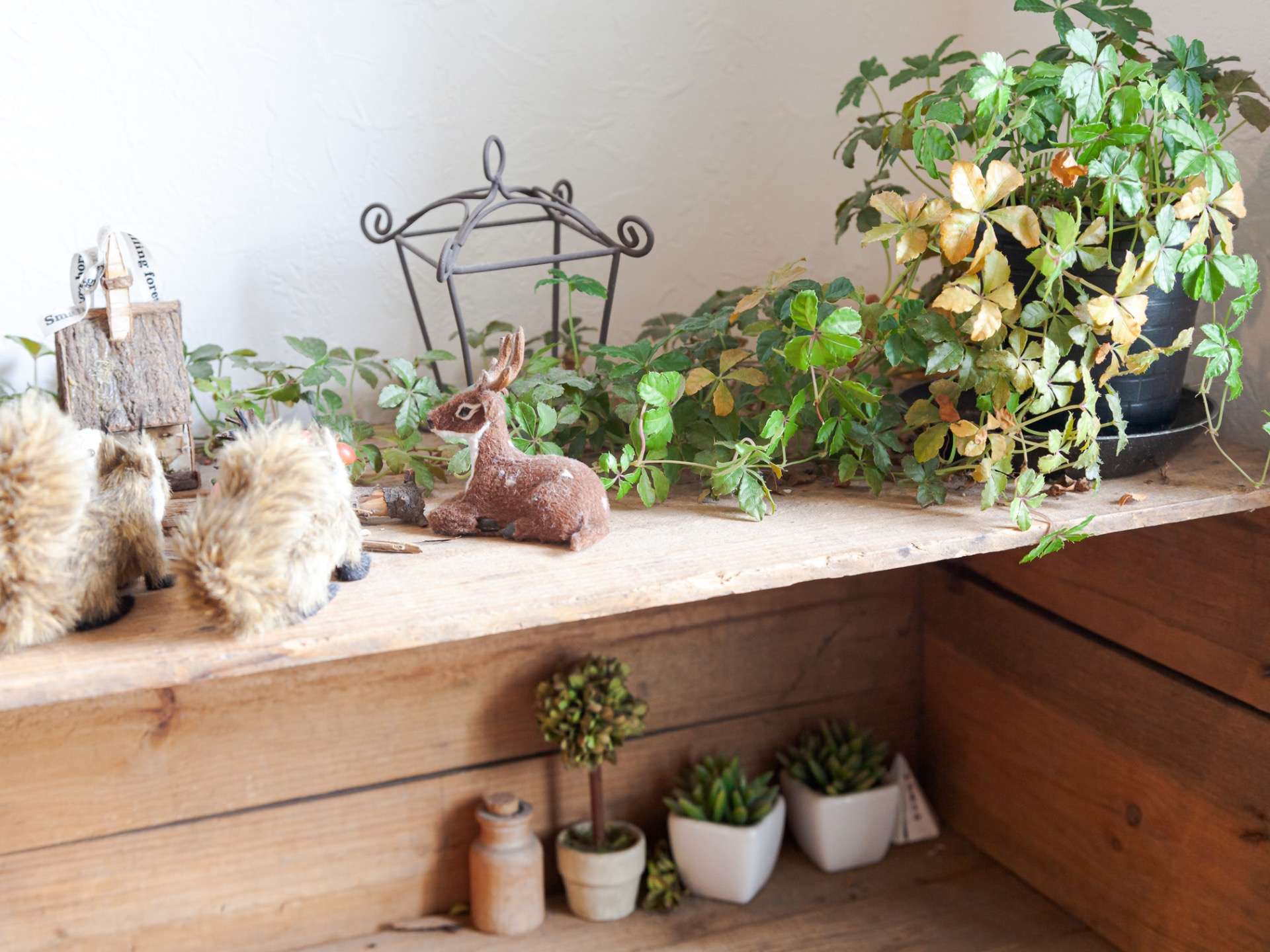 医師の診察を受ける時期